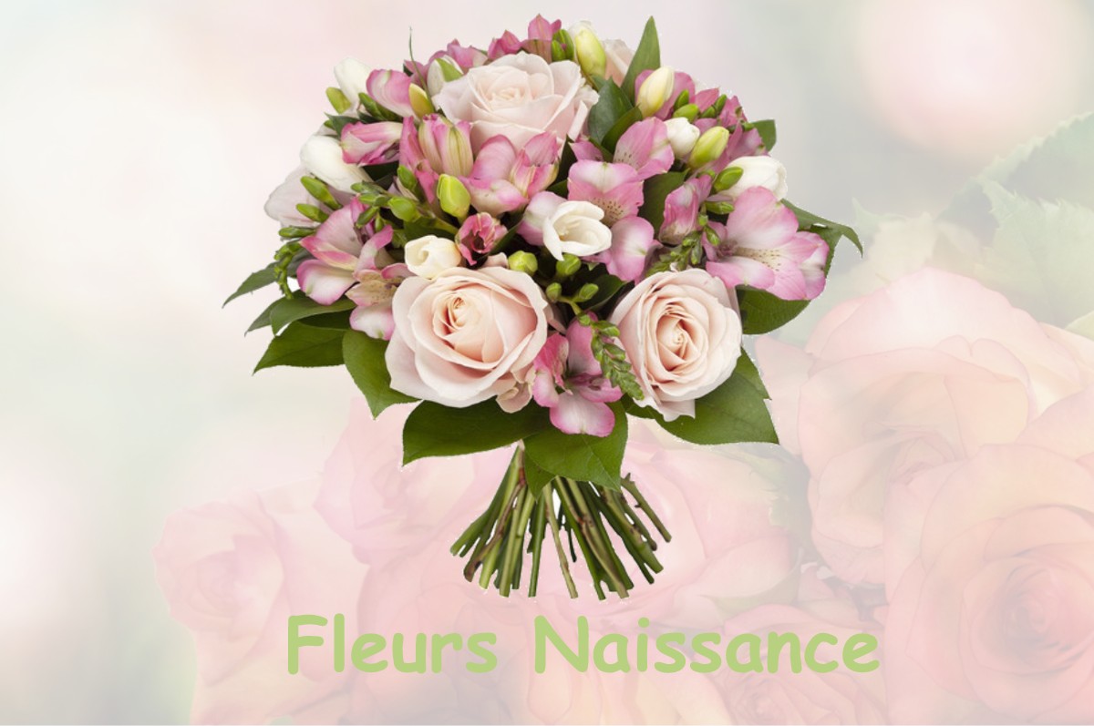 fleurs naissance SAINT-ANDRE-DE-ROQUELONGUE